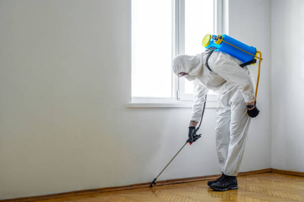 Best Cockroach Control  in Oak Lawn, IL